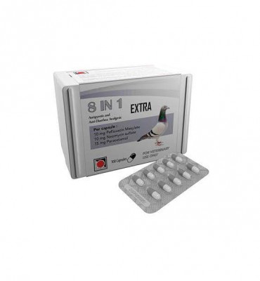 8 in 1 EXTRA