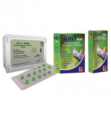 4in1 PLUS